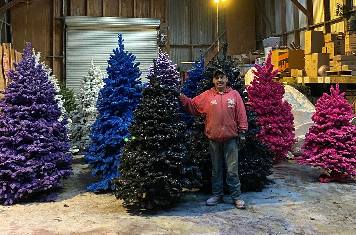 latinx farm worker standing in front of trees flocked in purple, blue, and fuschia